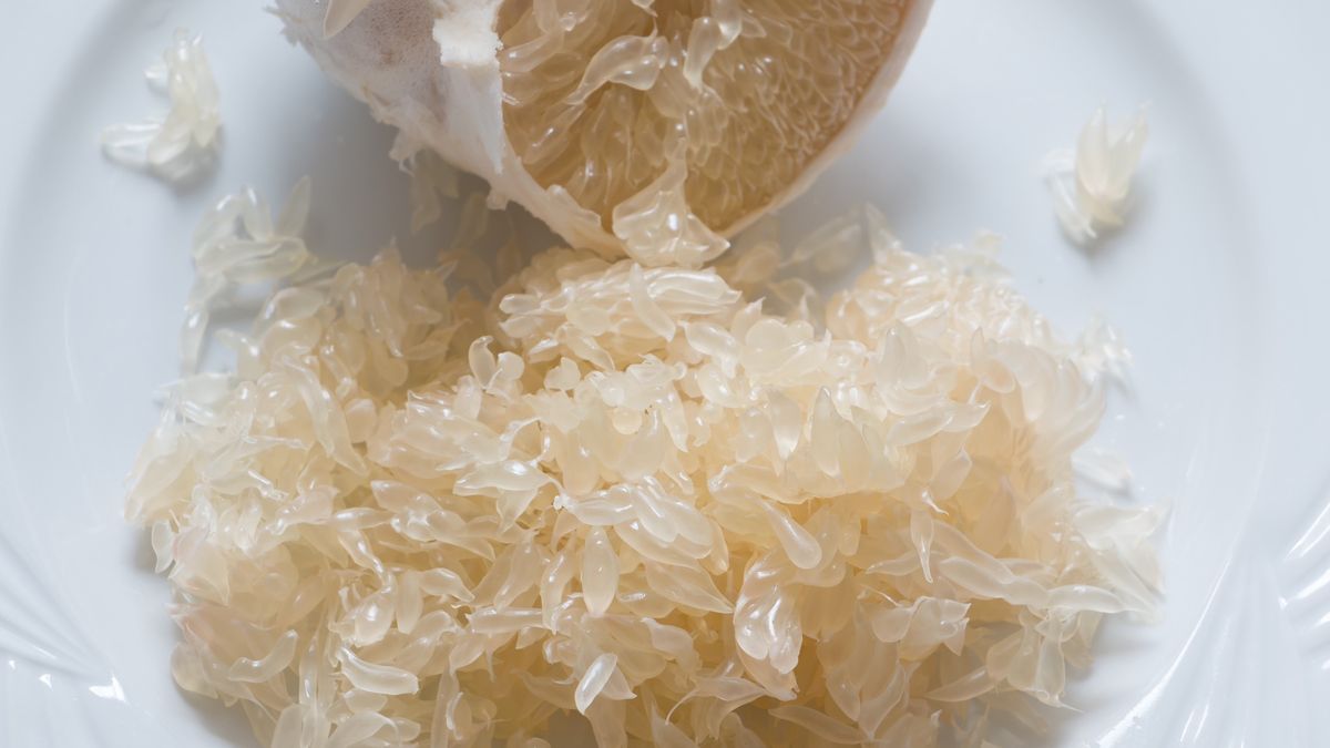Freshly peeled Pomelo fruitClose-up shot of freshly peeled Pamelo fruit served on white round platephotograph by dorisj