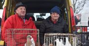 Sławno: Niedziela handlowa na targu rolniczym. Przyszły tłumy