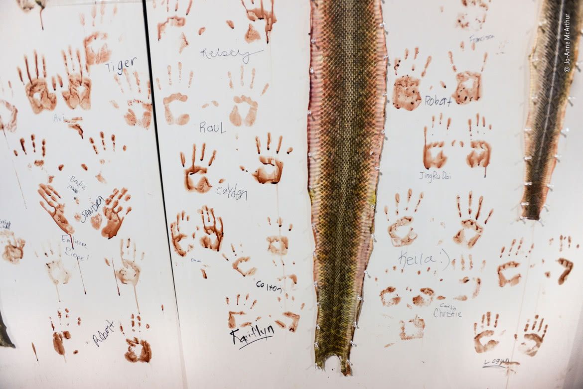 Wildlife Photographer of the Year 2019: piękno dzikiej przyrody 12