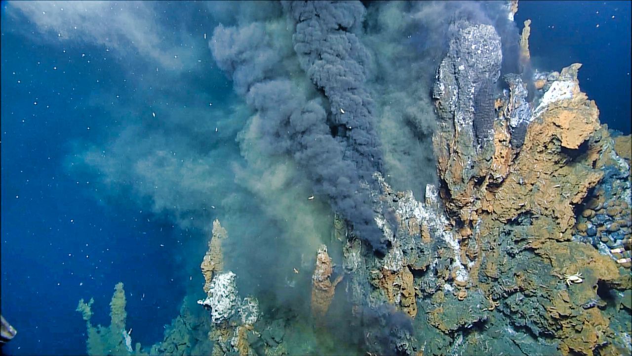 Sekrety kominów hydrotermalnych. Zwierzęta, które żyją w gorącym occie