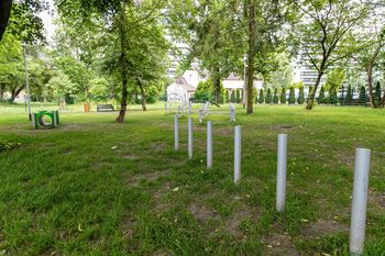 Białystok: Nie będzie więcej dystrybutorów woreczków na psie odchody