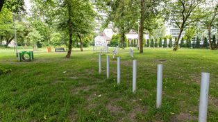 Białystok: Nie będzie więcej dystrybutorów woreczków na psie odchody