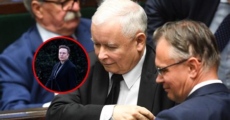 Rzecz o małych ludziach, czyli Musk a sprawa polska [OPINIA]