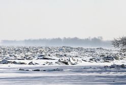 IMGW wydał alerty 2. stopnia. Szczególnie niebezpiecznie w Płocku i Włocławku