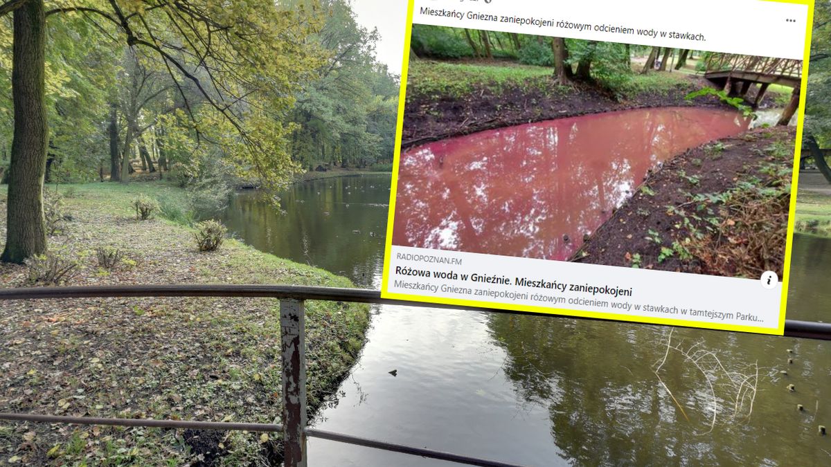 Woda przybrała nadzwyczajny kolor 