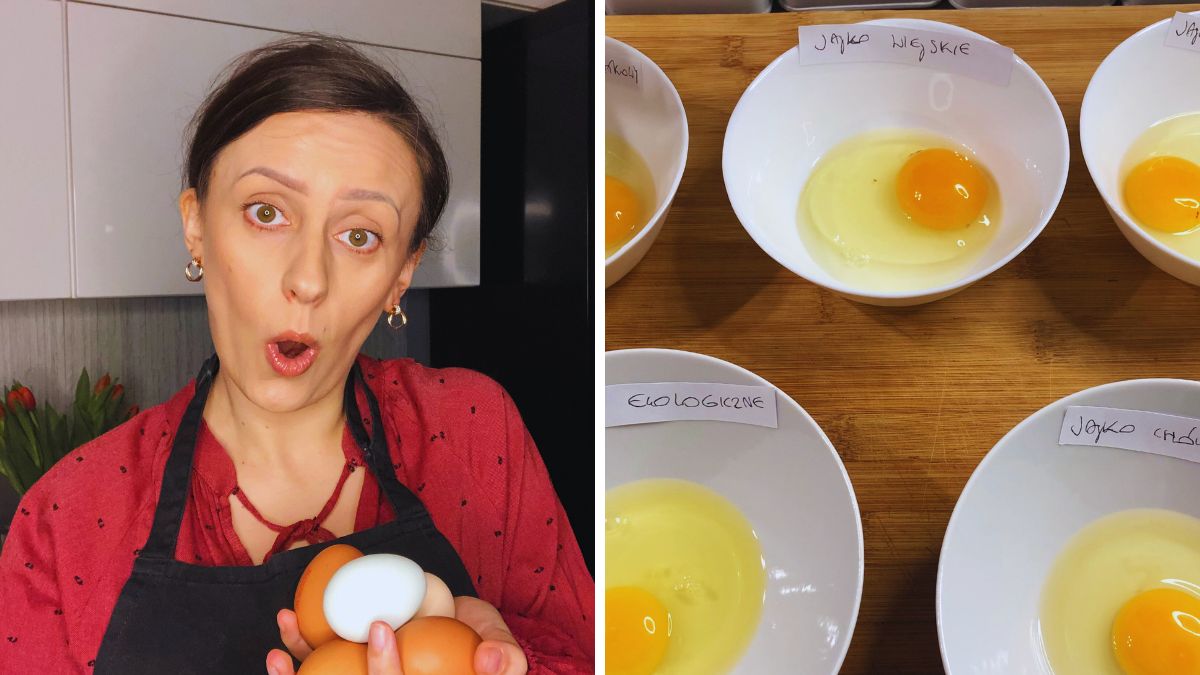 Porównanie jajek kupnych i wiejskich dało ciekawe efekty