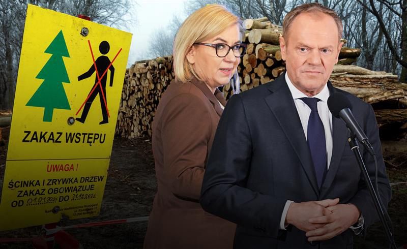   W 2024 r. w porównaniu do 2023 roku eksport polskiego drewna d