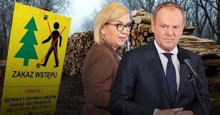 Wywóz polskiego drewna do Chin. Nie taką zmianę obiecywał rząd. Mamy dane