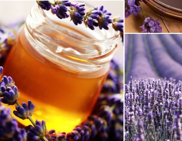 Lawenda – dobrze smakuje