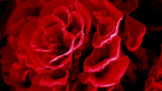 10 niecodziennych przedmiotów wykonanych za pomocą nanotechnologii 1