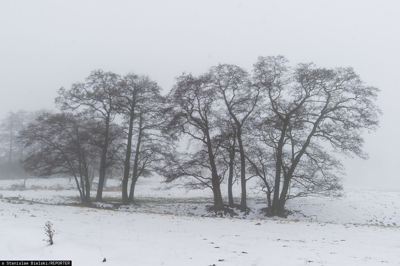 84-letnia pensjonariuszka nie żyje. Prokuratura bada sytuację w DPS