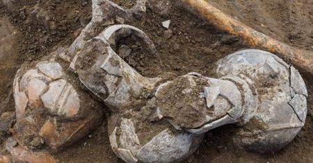 Archeolodzy znaleźli ślady opium na naczyniach sprzed 3500 lat
