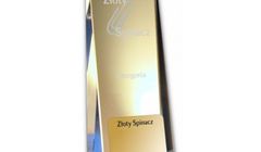 Złote Spinacze 2014: najwięcej dla Havas PR, H+K, Headlines, Rc2, Citybell i Publiconu