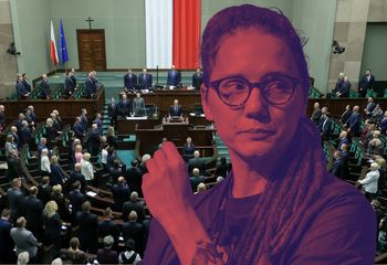 "Zagrywka polityczna, a nie sukces". Gorzkie słowa aktywistki po decyzji Sejmu