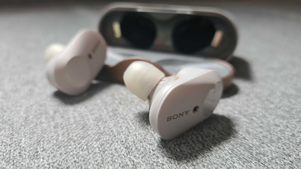 fot. dobreprogramy/Piotr Urbaniak