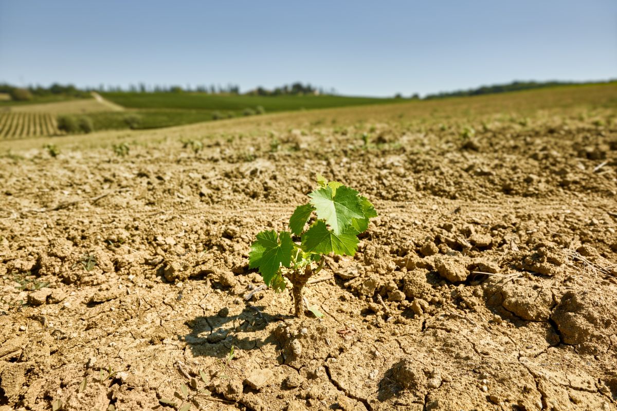 Ekstremalne zjawiska pogodowe w Europie. Wydano miliardy euro