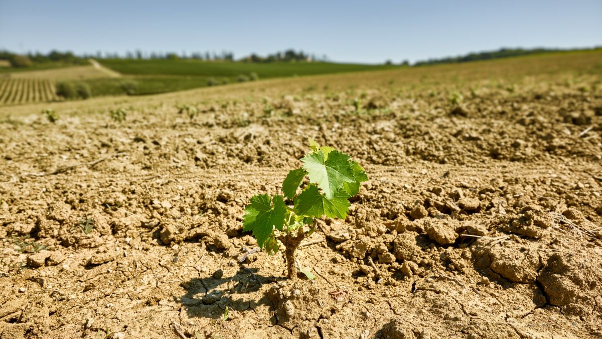 Ekstremalne zjawiska pogodowe w Europie