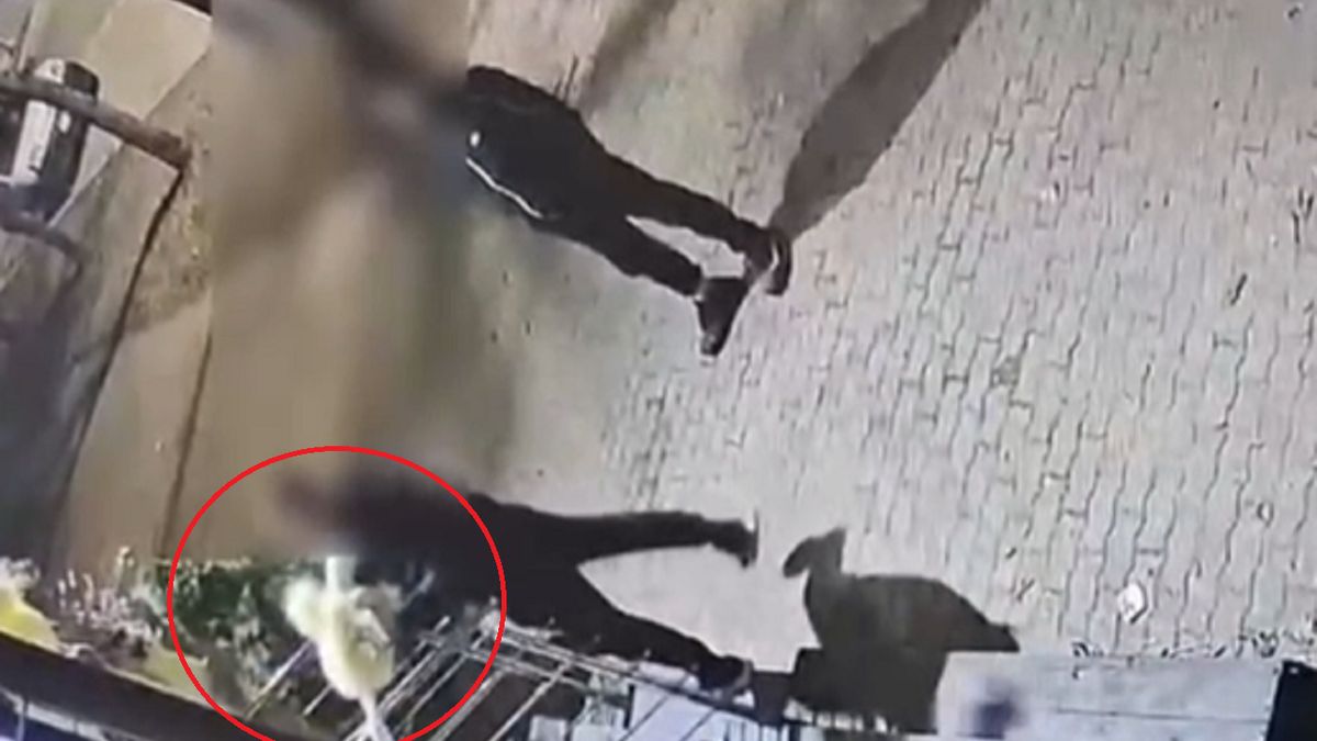 Ukradł sztuczną kurę