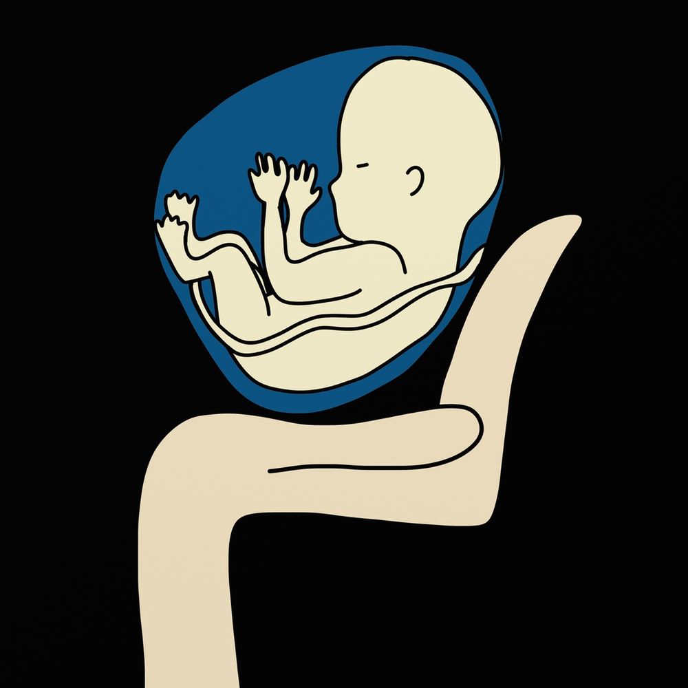 Co oznacza termin łożysko przodujące?