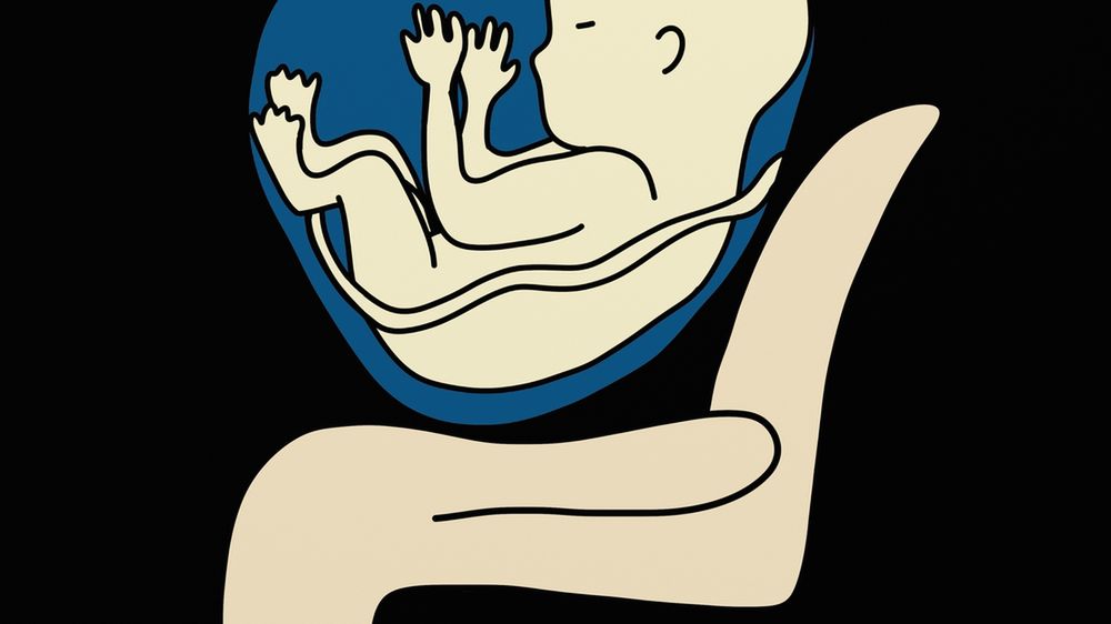 Co oznacza termin łożysko przodujące?