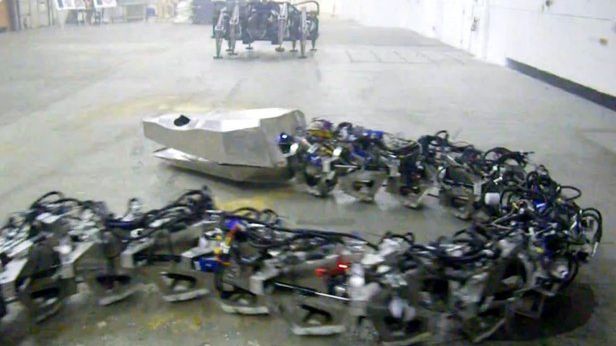 Titanoboa - prehistoryczny wąż powraca jako robot [wideo] 1