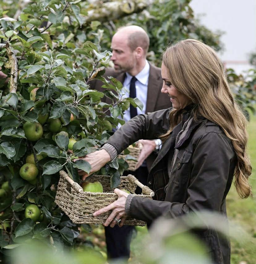 William i Kate zatriumfowali w sądzie