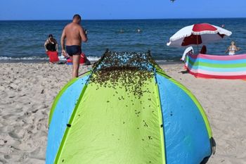 Była 15:38. Taki widok na plaży w Jastarni. Strażacy pokazali zdjęcia