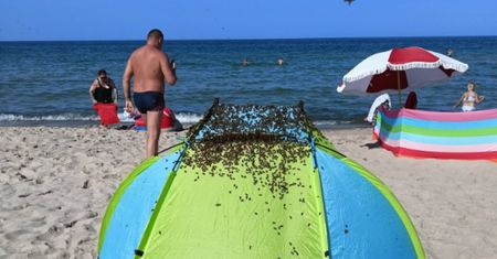 Była 15:38. Taki widok na plaży w Jastarni. Strażacy pokazali zdjęcia