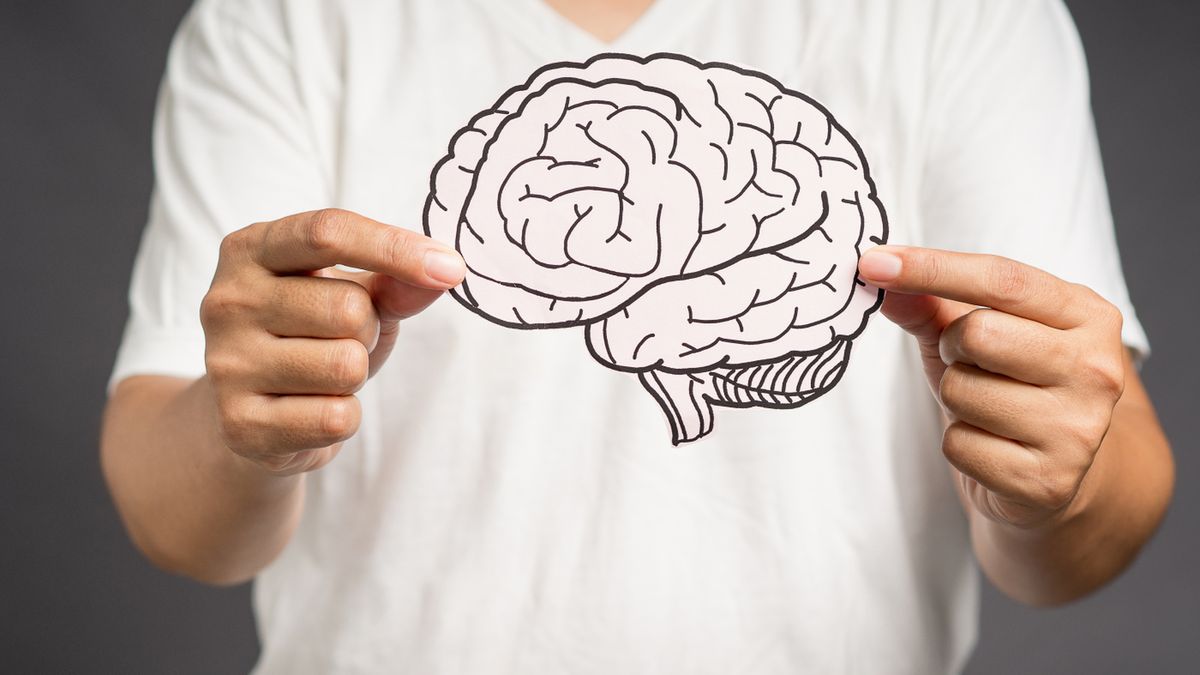 Ośrodek Broki odpowiada za generowanie mowy