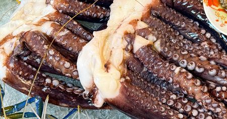 Japończycy jedzą je dla zdrowia. Polacy raczej się krzywią