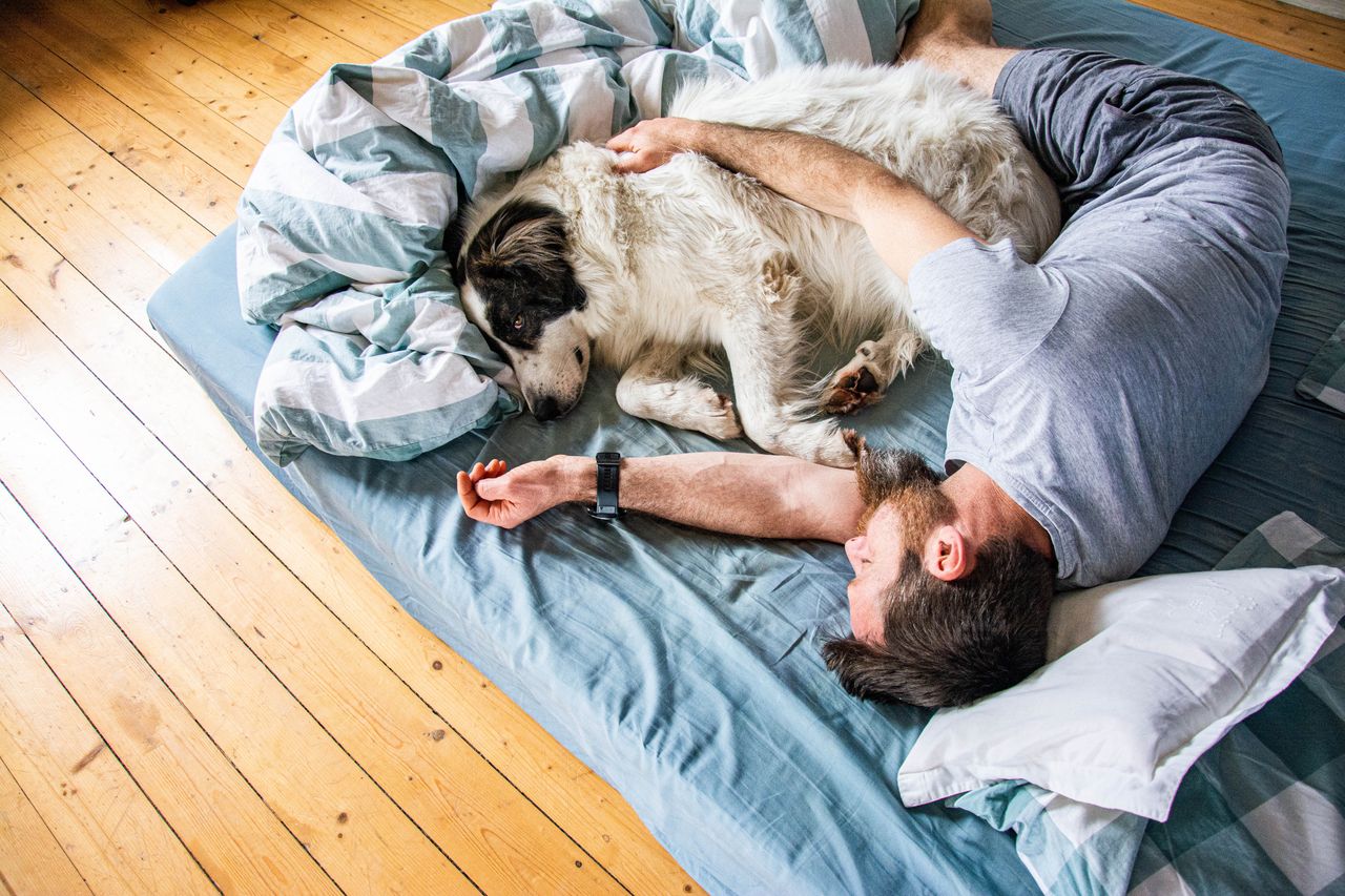 Pozwalanie psu spać w łóżku nie zawsze jest dobrym pomysłem