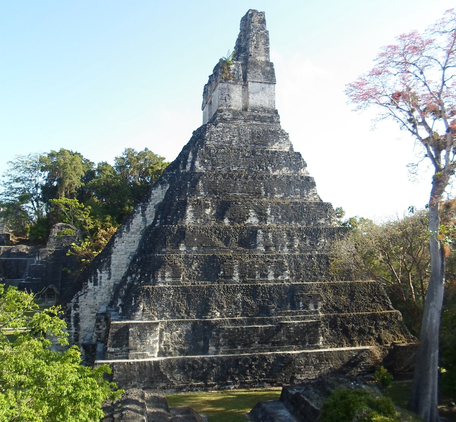Tikal