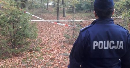 Tarnowskie Góry. Groźne znalezisko grzybiarza. Natychmiast wezwał policję