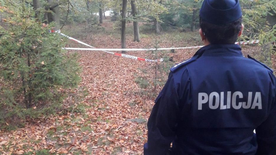 Tarnowskie Góry. Grzybiarz zamiast grzybów znalazł pocisk przeciwpancerny.