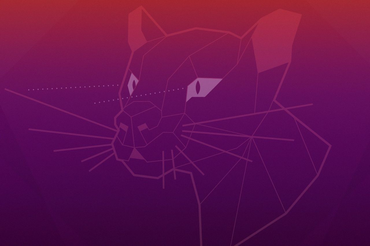 Ubuntu 20.04 LTS otrzyma zmodyfikowany menedżer oprogramowania – paczkę snap