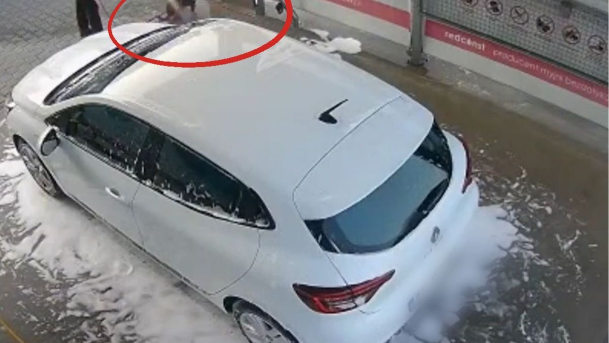 myli psa na myjni dla aut