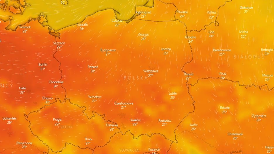 Termometry pokażą niebezpiecznie wysokie temperatury w ciągu dnia