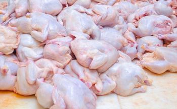 Najzdrowsza część kurczaka, a mało kto kupuje. To błąd