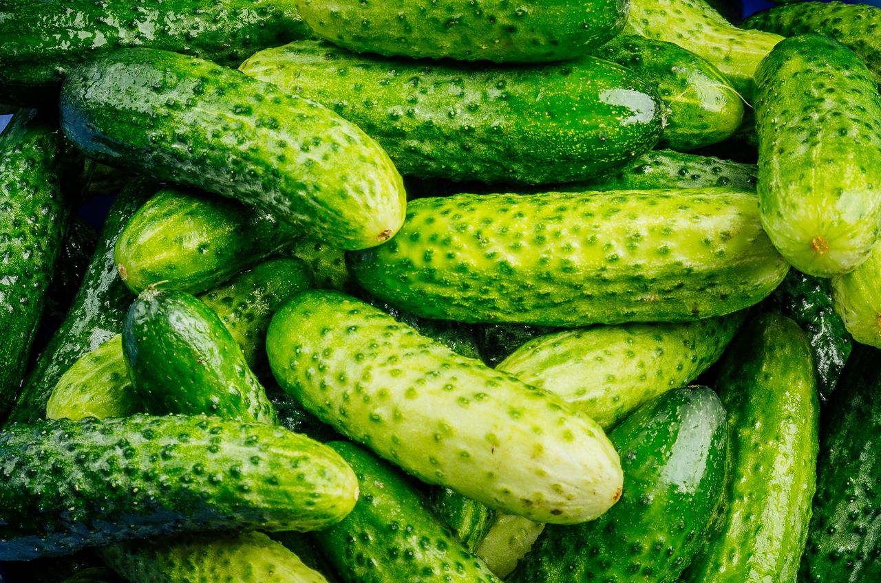 A great trick will allow you to quickly prepare pickled cucumbers.
