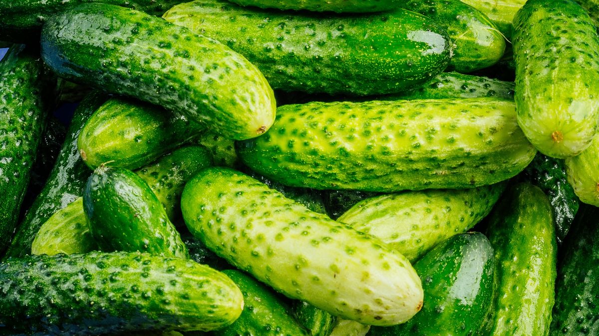 Świetny patent pozwoli szybko przygotować ogórki małosolne