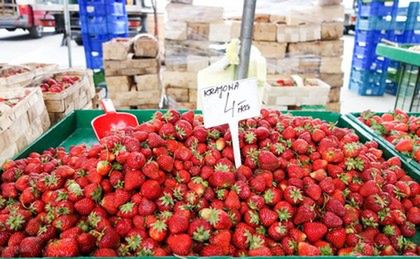 Rosjanie kupują przy granicy truskawki, bo u nich nie ma