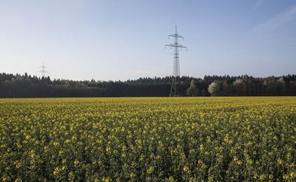 Rolnik spod Jasła na Podkarpaciu znalazł wyroby ze złota sprzed 2 tys. lat na swoim polu