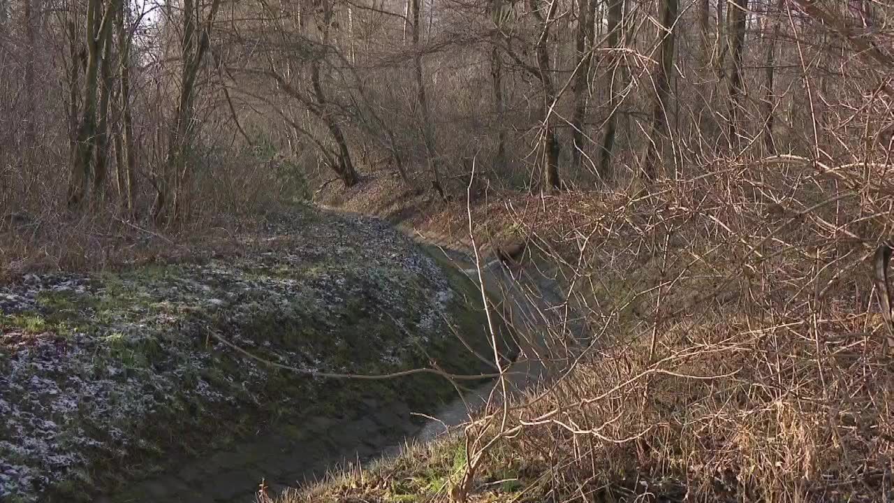 Częstochowska policja wznowiła poszukiwania zaginionej 20-latki. Magdalena Trzcińska zaginęła 2 stycznia