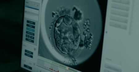 Dodatkowe środki na in vitro w Łodzi. Wszystko za sprawą odwołanej przez PiS konwencji