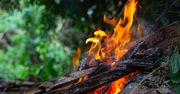 Czy rozpalenie ogniska jest legalne? Cóż, mandat może być bardzo kosztowny