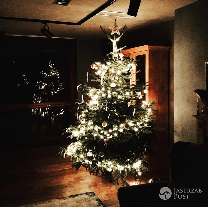 Edyta Górniak pokazała choinkę w domu w Krakowie - Instagram