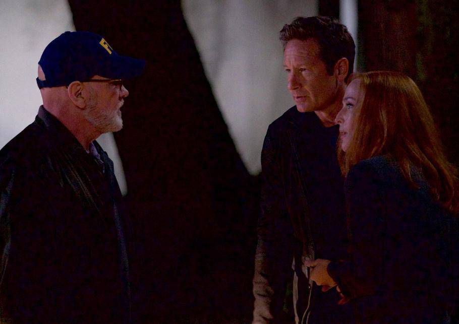 Z archiwum X, 11 sezon - David Duchovny i Gillian Anderson