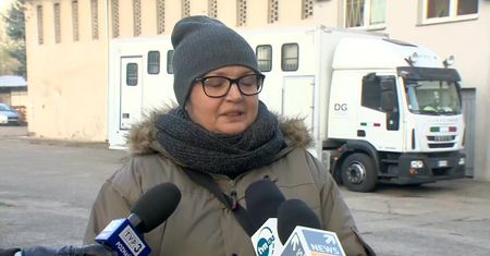 Udało się wyładować tygrysy w Poznaniu. Są w fatalnym stanie, ale wszystkie żyją