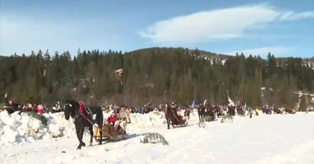Parada Gazdów w Kościelisku. Górale zaprezentowali tradycyjne zaprzęgi oraz ścigali się na nartach