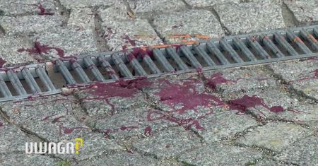 Atakowani 25 razy! „Chyba ktoś musi zostać zamordowany, żeby to się skończyło”